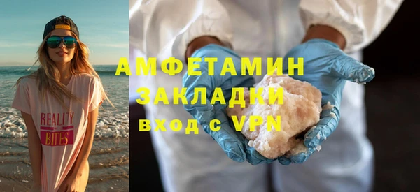 хмурый Ельня