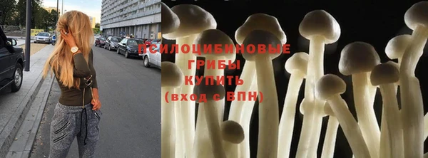 бошки Елизово