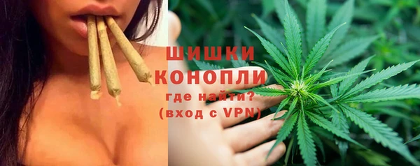 бошки Елизово