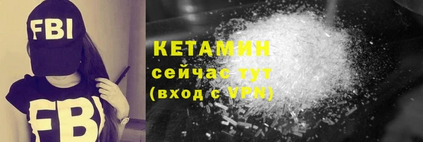 хмурый Ельня