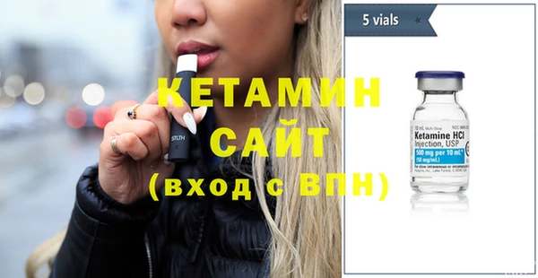 хмурый Ельня