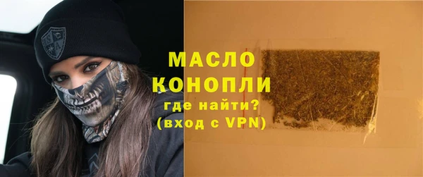 хмурый Ельня