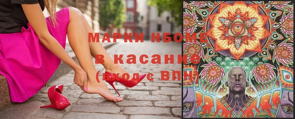 хмурый Ельня