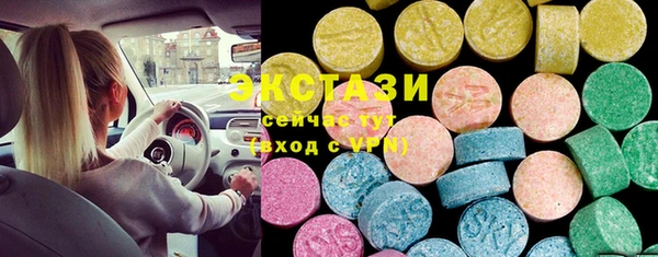 хмурый Ельня