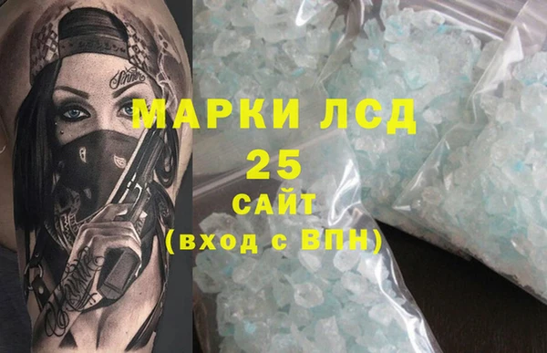 хмурый Ельня