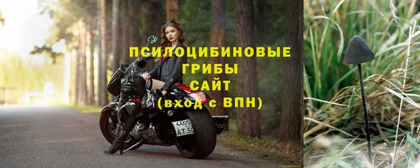 хмурый Ельня